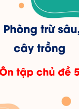 CN Trồng trọt - Ôn tập chủ đề 5. Phòng trừ sâu, bệnh hại cây trồng